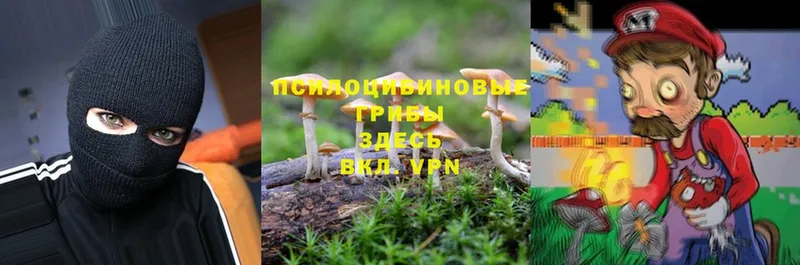 Галлюциногенные грибы MAGIC MUSHROOMS  Зарайск 